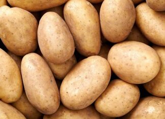 Czy warto kupić obieraczkę do ziemniaków?