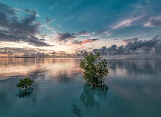 Jak połączyć płytki w narożnikach?