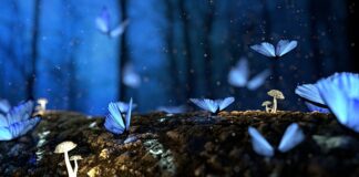 Jak przeciąć drewno wzdłuż?