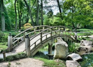 Kiedy przepust a kiedy most?