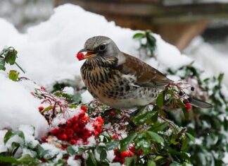 Do czego przepustnica w kominku? Do czego przepustnica w kominku?