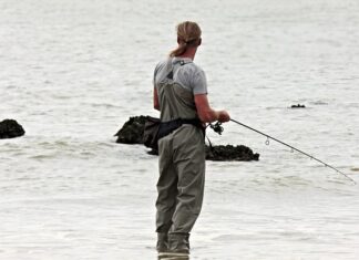 Co to są zawiasy Blum?