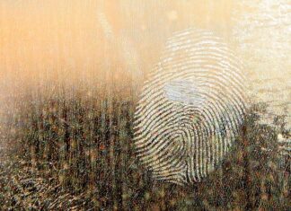 Do czego stosuje się smar ceramiczny?