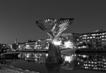 Jak sprawdzić czy ma się przywry? Jak sprawdzić czy ma się przywry?