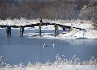 Co oznacza nazwa przewodu 3×2 5? Co oznacza nazwa przewodu 3x2 5?