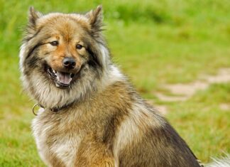 Jakie są długości prowadnic? Jakie są długości prowadnic?