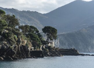 Ile kosztuje wymiana zacisków hamulcowych?