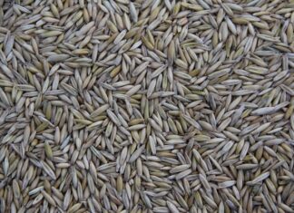 Kto produkuje zawiasy dla IKEA?