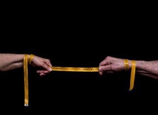 Ile kosztuje metr ogrodzenia na gotowo?