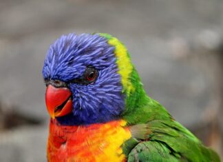 Co to jest wymiar rzeczywisty? Co to jest wymiar rzeczywisty?