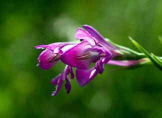 Kiedy powinno się ogrodzić działkę? Kiedy powinno się ogrodzić działkę?