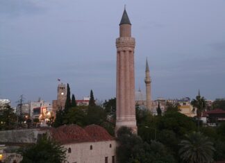 Ile ramek zostawić w ulu?