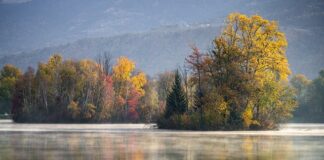 Jakie kółko tnące do gresu?