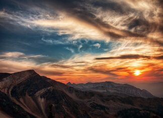 Ile godzin może być pies na łańcuchu? Ile godzin może być pies na łańcuchu?