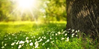 Jakie światło do przedpokoju -- ciepłe czy zimne?