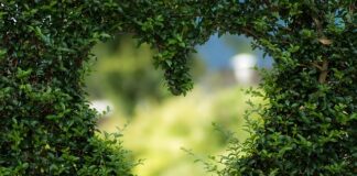 Z czego stół do ogrodu?